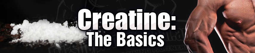 creatine-the-basics